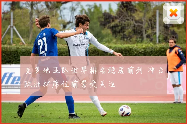 克罗地亚队世界排名稳居前列 冲击欧洲杯席位前景受关注