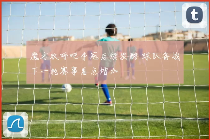 魔方欢呼吧夺冠后续发酵 球队备战下一轮赛事看点增加